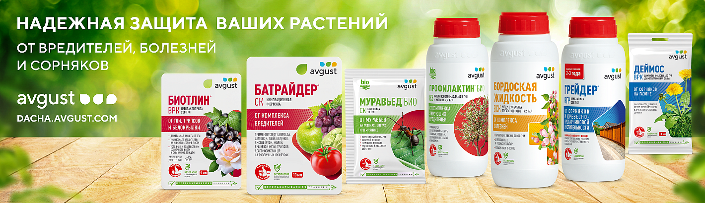 banner_Avgust_tsvetushchiy_sad