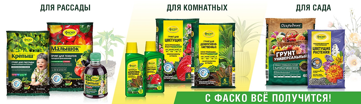 Цветущий-сад_Фаско_1250Х360_май-26